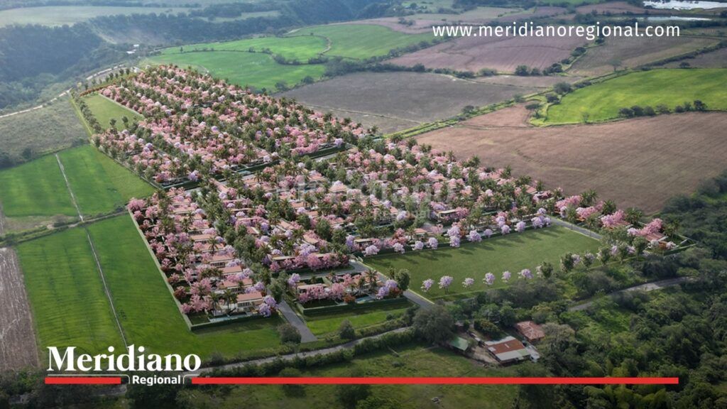 proyecto Llano Verde - maqueta digital Llano Verde - parcelación rural Popayán - vereda Santa Bárbara - desarrollo urbanístico Popayán - noticias Popayán - noticias Cauca