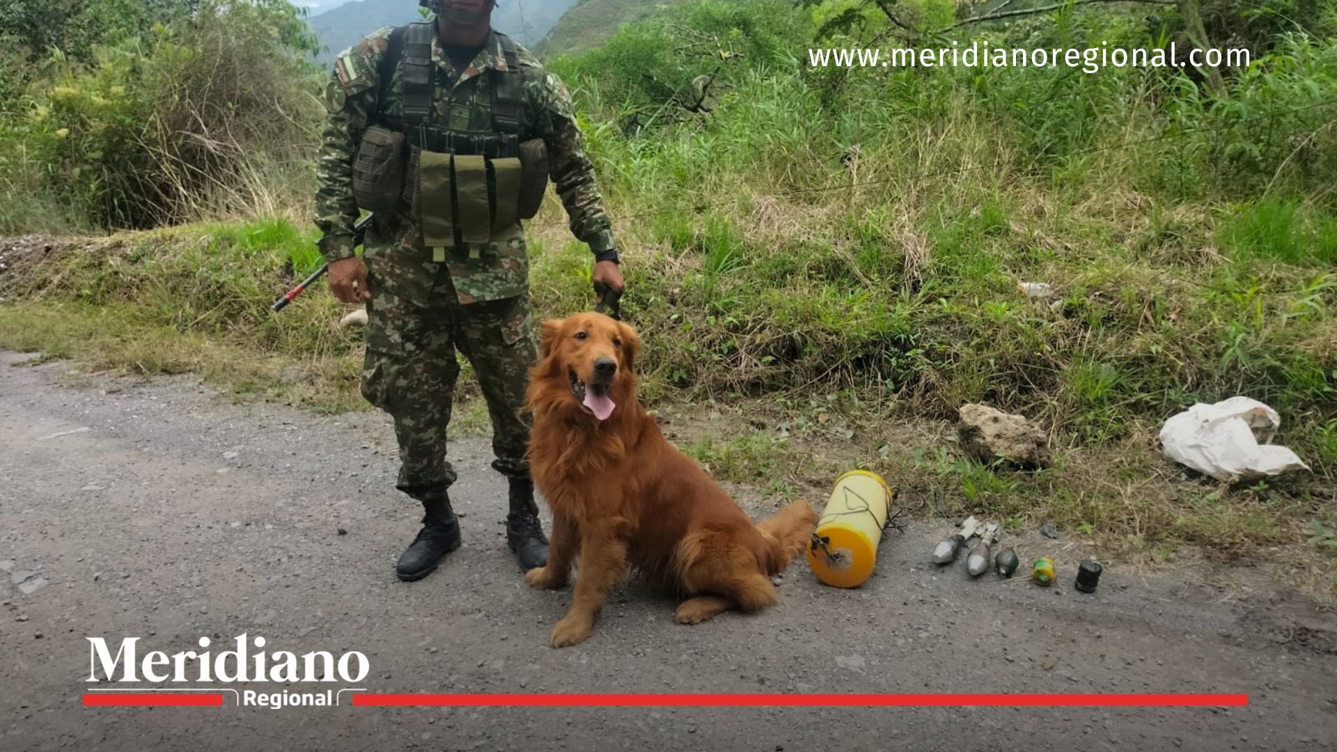 noticias Cauca - Inzá Cauca - detección de explosivos - binomio canino Ejército - artefactos explosivos - seguridad rural Cauca