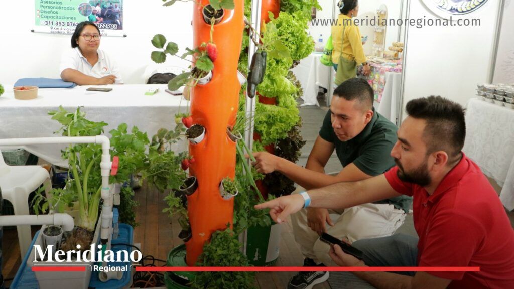 Exhibición de cultivo sostenible en la Feria Multigremial 2025 - Meridiano Regional Asistentes observan un sistema de cultivo vertical y plantas en la Feria Multigremial 2025 en Popayán.