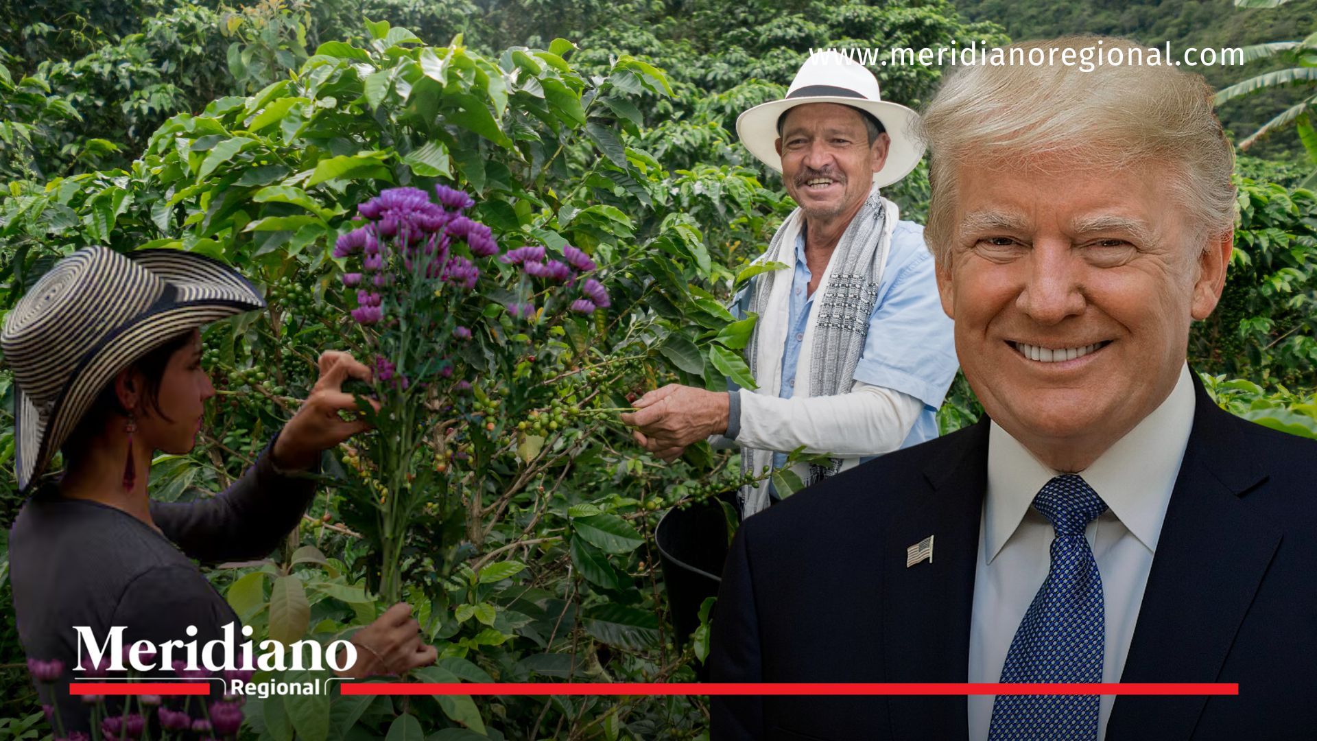 Decisión del Gobierno de Estados Unidos sobre los aranceles al café genera alivio para miles de familias cafeteras en Colombia.