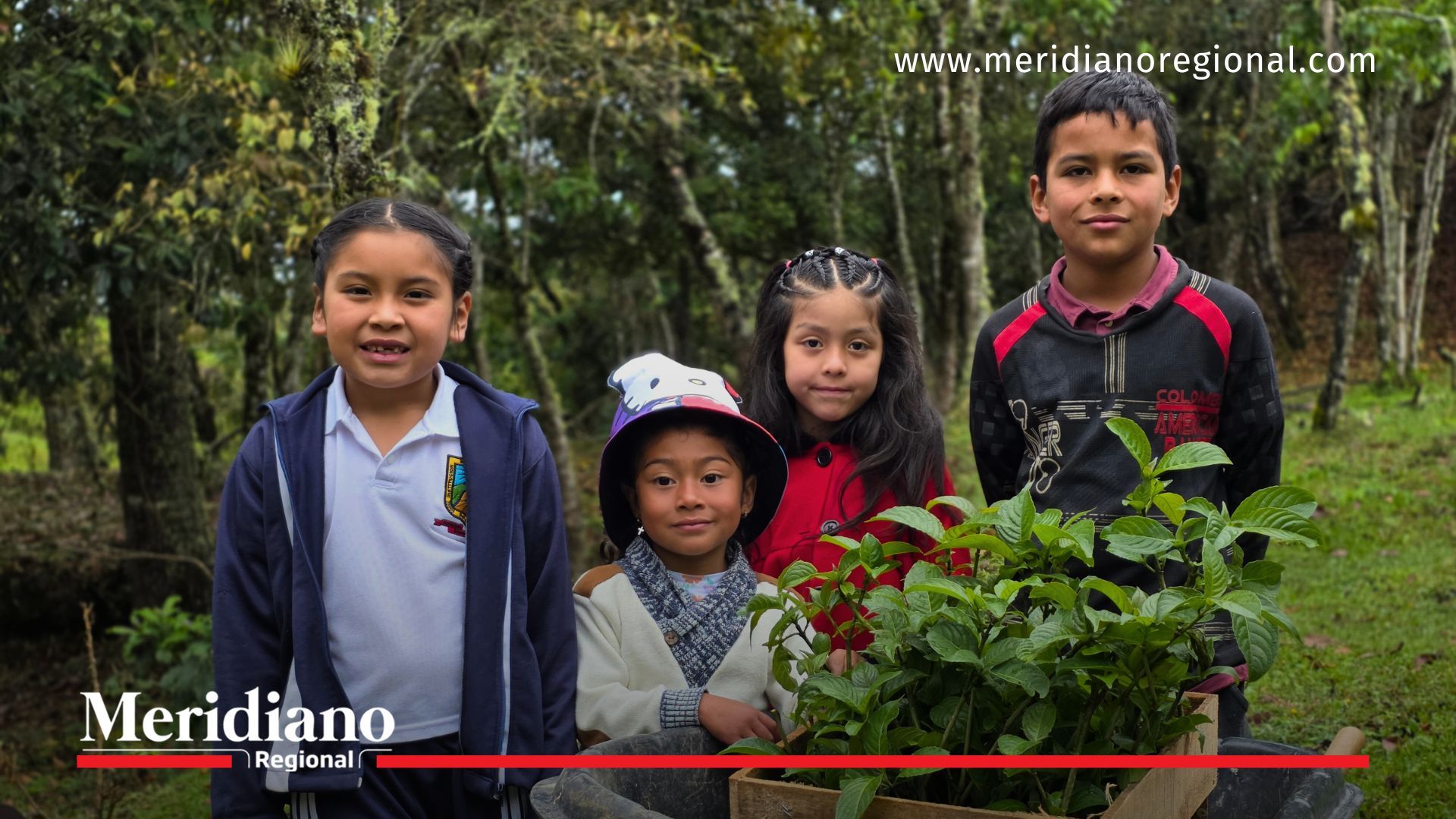 Estudiantes de la sede El Crucero, en la vereda Chiribío (Sotará), acompañan las plántulas destinadas a fortalecer las huertas escolares impulsadas por la Gobernación del Cauca.