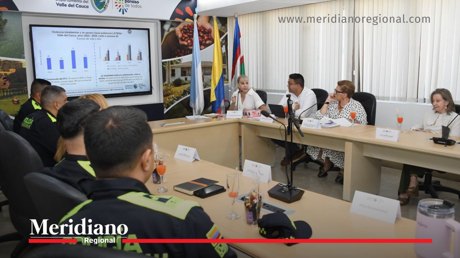 feminicidios en Valle del Cauca - Consejo de Seguridad de Género - Gobernación del Valle - reducción de feminicidios - Policía Nacional - violencia intrafamiliar - población LGBTIQ+