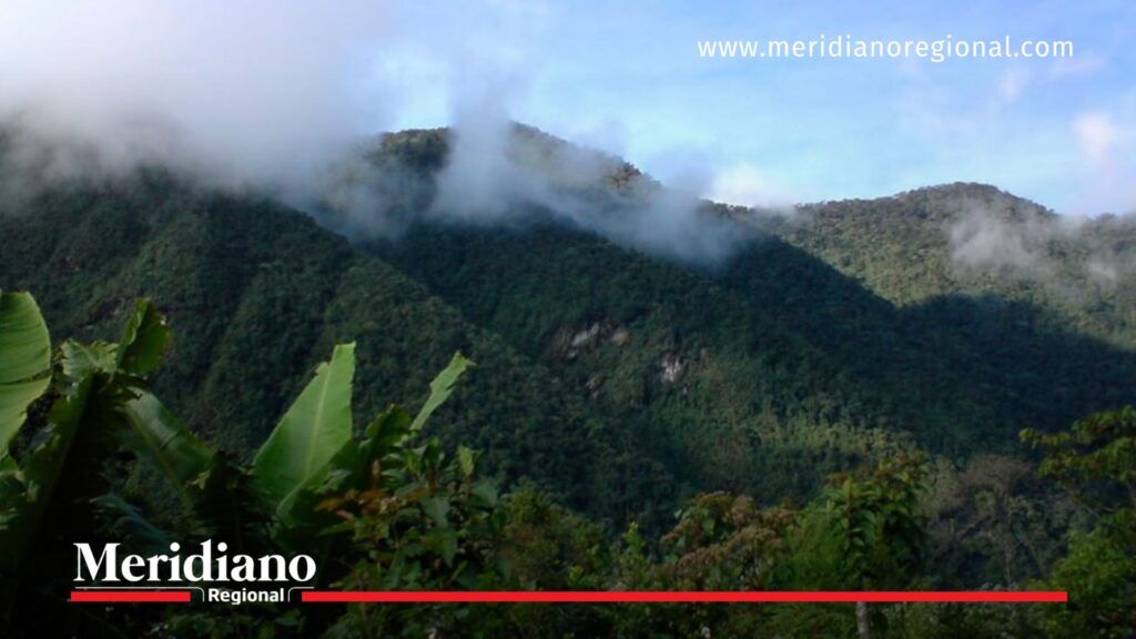 Panorámica de los Farallones de Cali con densa vegetación y neblina, área donde autoridades refuerzan controles para impedir la reapertura de minas ilegales.