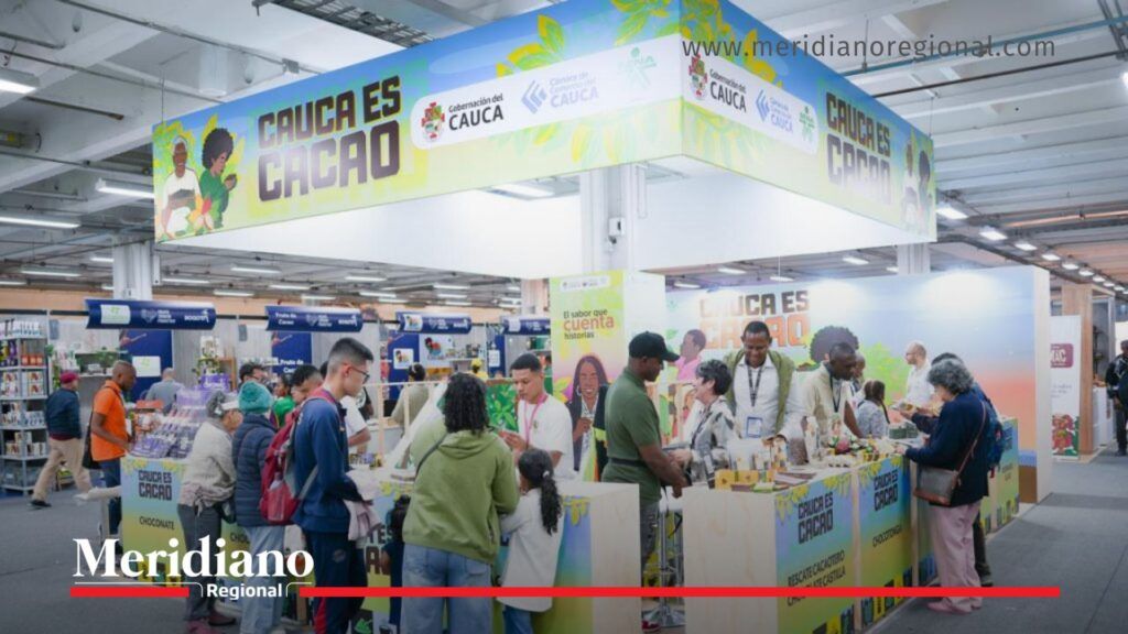 cacao caucano - cauca es cacao - international chocolate awards 2025 - chocolateros del cauca - premios cacao colombia - noticias cauca