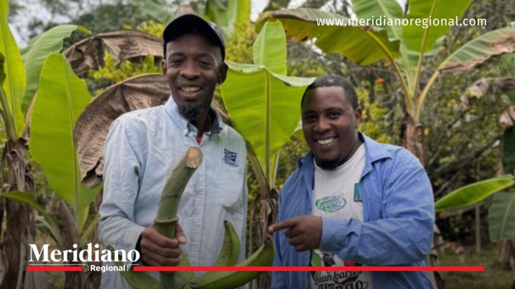fondo concursable riopaila castilla más - proyectos comunitarios - producción agrícola - norte del cauca - capital semilla - desarrollo territorial - productores del cauca - noticias cauca
