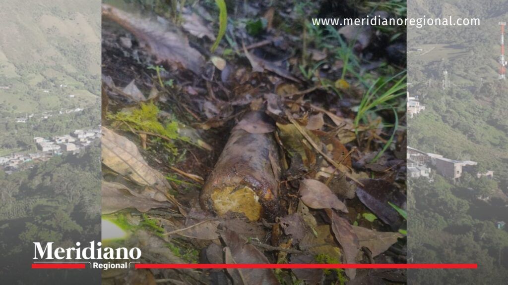 Artefacto explosivo en Nariño hallado en operación militar - Meridiano Regional Artefacto explosivo improvisado encontrado por el Ejército en zona rural de Andes Sotomayor, Nariño.