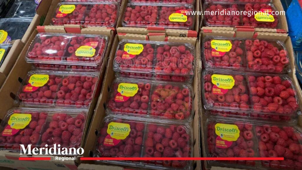 frambuesas vinculadas al caso de envenenamiento en bogotá - caso talio bogotá - niñas envenenadas los nogales - envenenamiento con talio - homicidio con talio - noticias bogotá