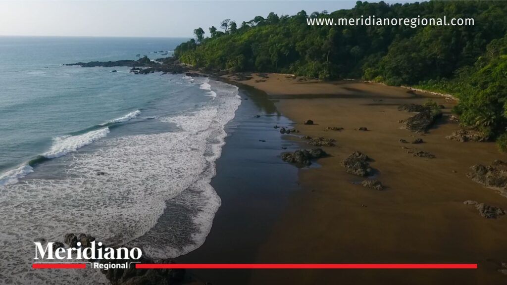 Turismo en el Chocó en Playa El Almejal, paisaje natural del Pacífico colombiano con selva y mar