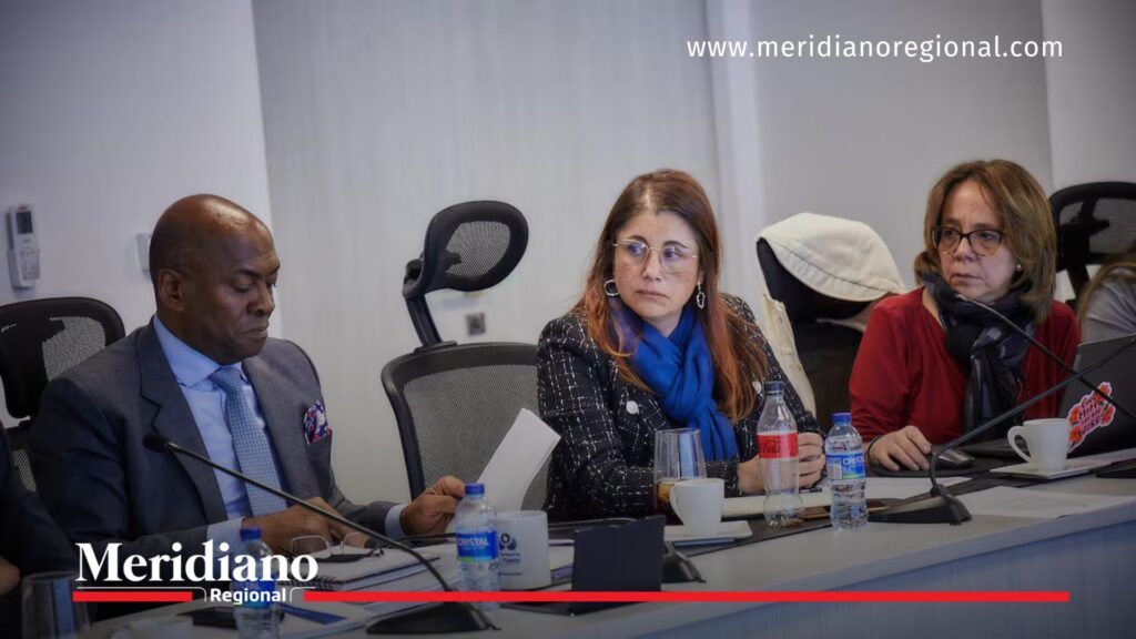 Defensoría del Pueblo lidera reunión ante paros armados en Colombia - Meridiano Regional Defensora del Pueblo Iris Marín en reunión institucional por paros armados en Colombia y protección de derechos humanos