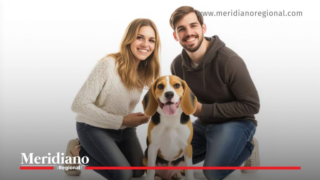 Cajas de compensación y mascotas: familias con animales de compañía en Colombia - Meridiano Regional cajas de compensación y mascotas en familias colombianas con animales de compañía