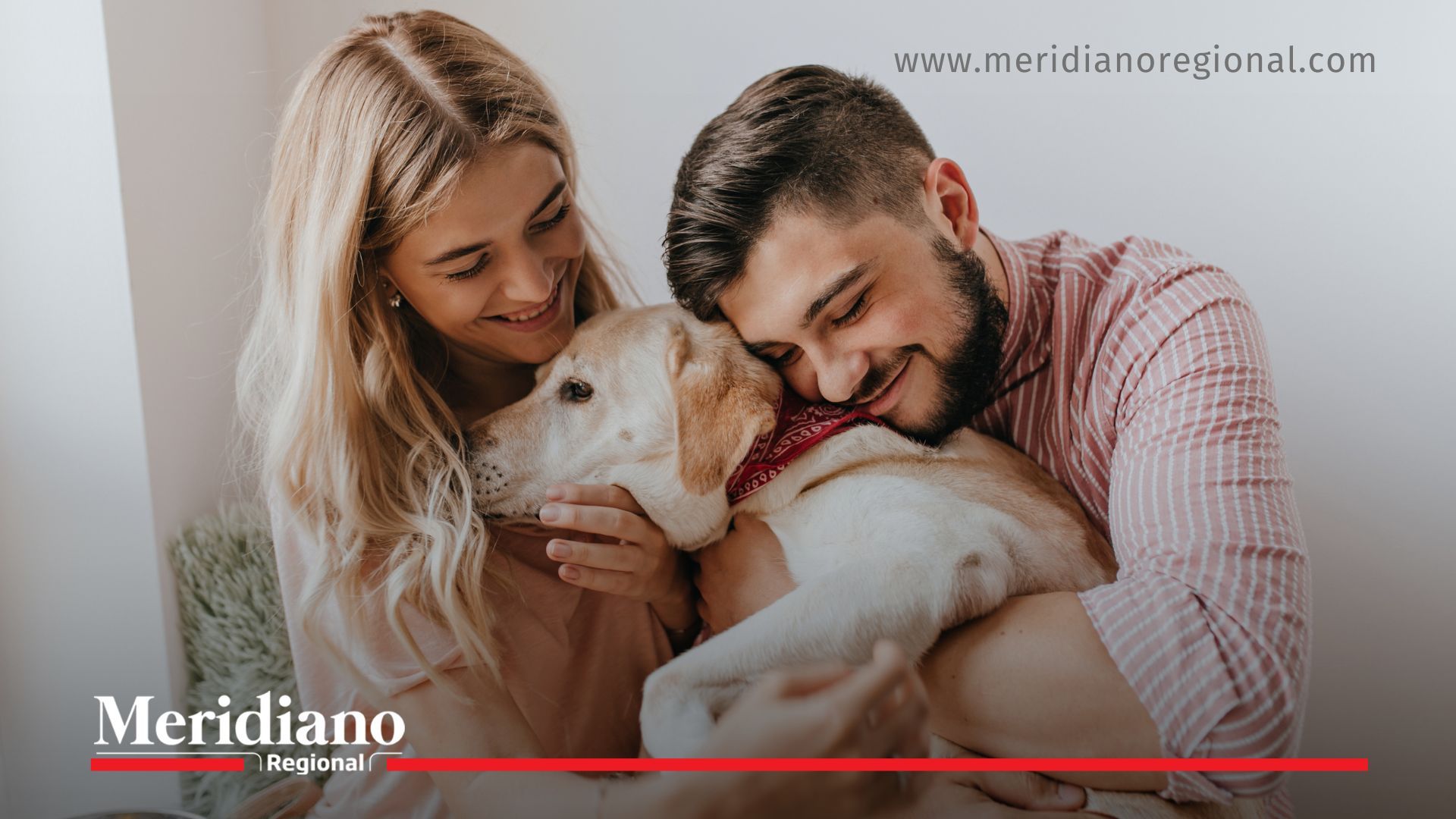 cajas de compensación y mascotas como parte de las familias colombianas con animales de compañía