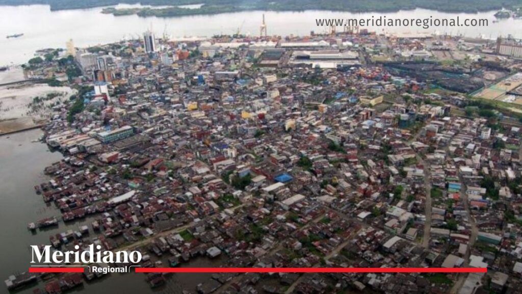 Semillero de hoja de coca en Tumaco fue destruido en zona rural - Meridiano Regional Semillero de hoja de coca en Tumaco destruido por el Ejército Nacional en zona rural de Nariño