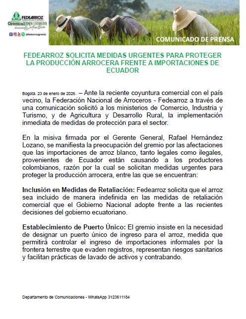 Importaciones de arroz desde Ecuador: comunicado de Fedearroz - Meridiano Regional importaciones de arroz desde Ecuador - comunicado Fedearroz - sector arrocero colombiano