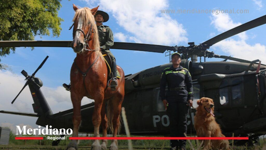 noticias Cauca - seguridad en el Cauca - Policía Cauca - operativos policiales Cauca - apoyo aéreo Policía - control territorial Cauca