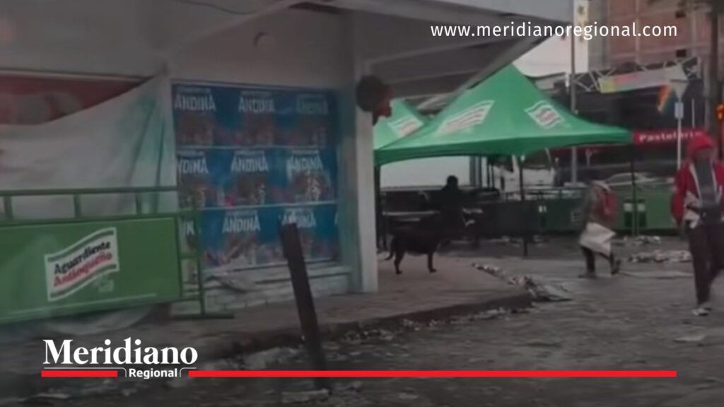 Catay Popayán tras intervención policial nocturna - Meridiano Regional Catay Popayán vacío tras intervención policial y uso de gas lacrimógeno por alteraciones al orden público