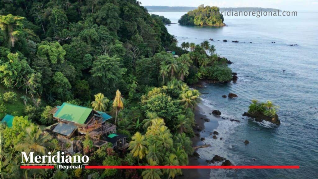 incautación de droga en Nuquí en zona rural del litoral pacífico del Chocó