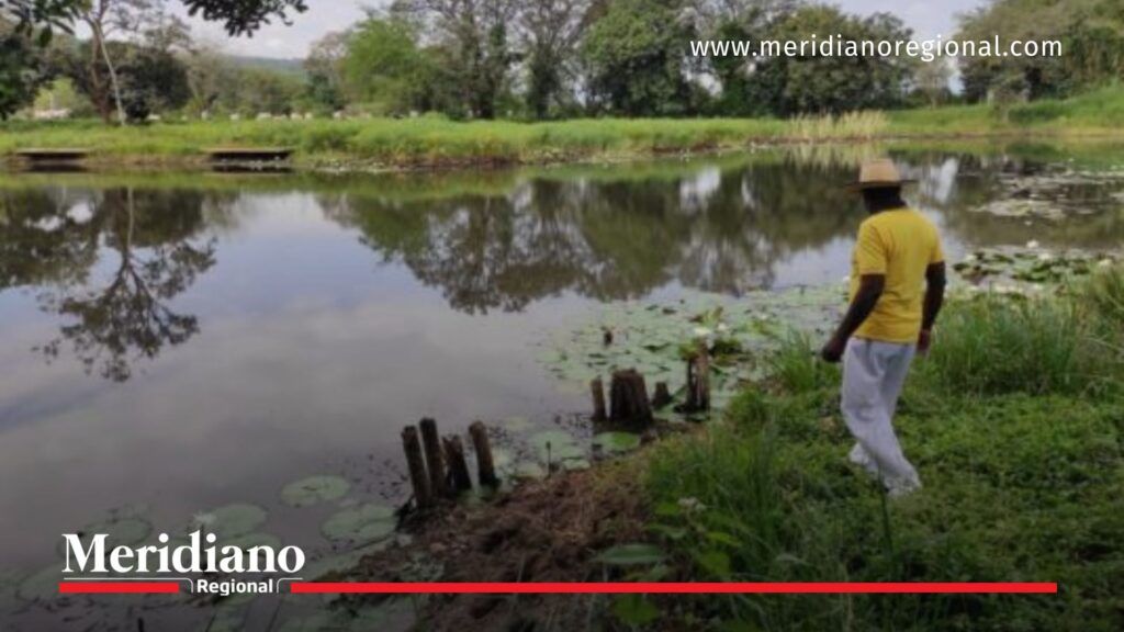 humedales Popayán durante jornada de reforestación en el Humedal San Antonio de Padua