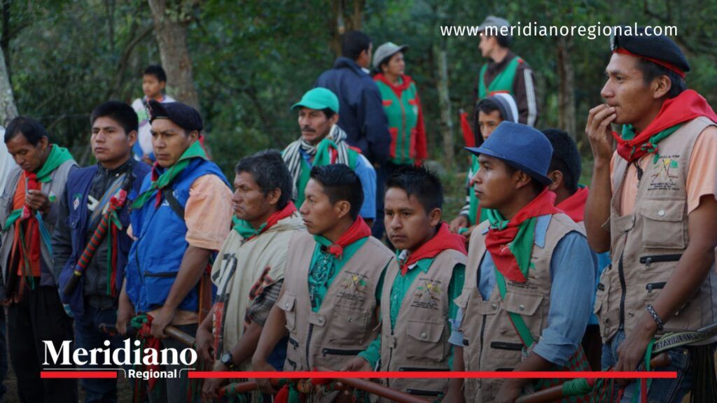Guardia Indígena del Cauca acompañó verificación tras ubicación de Aida Quilcué