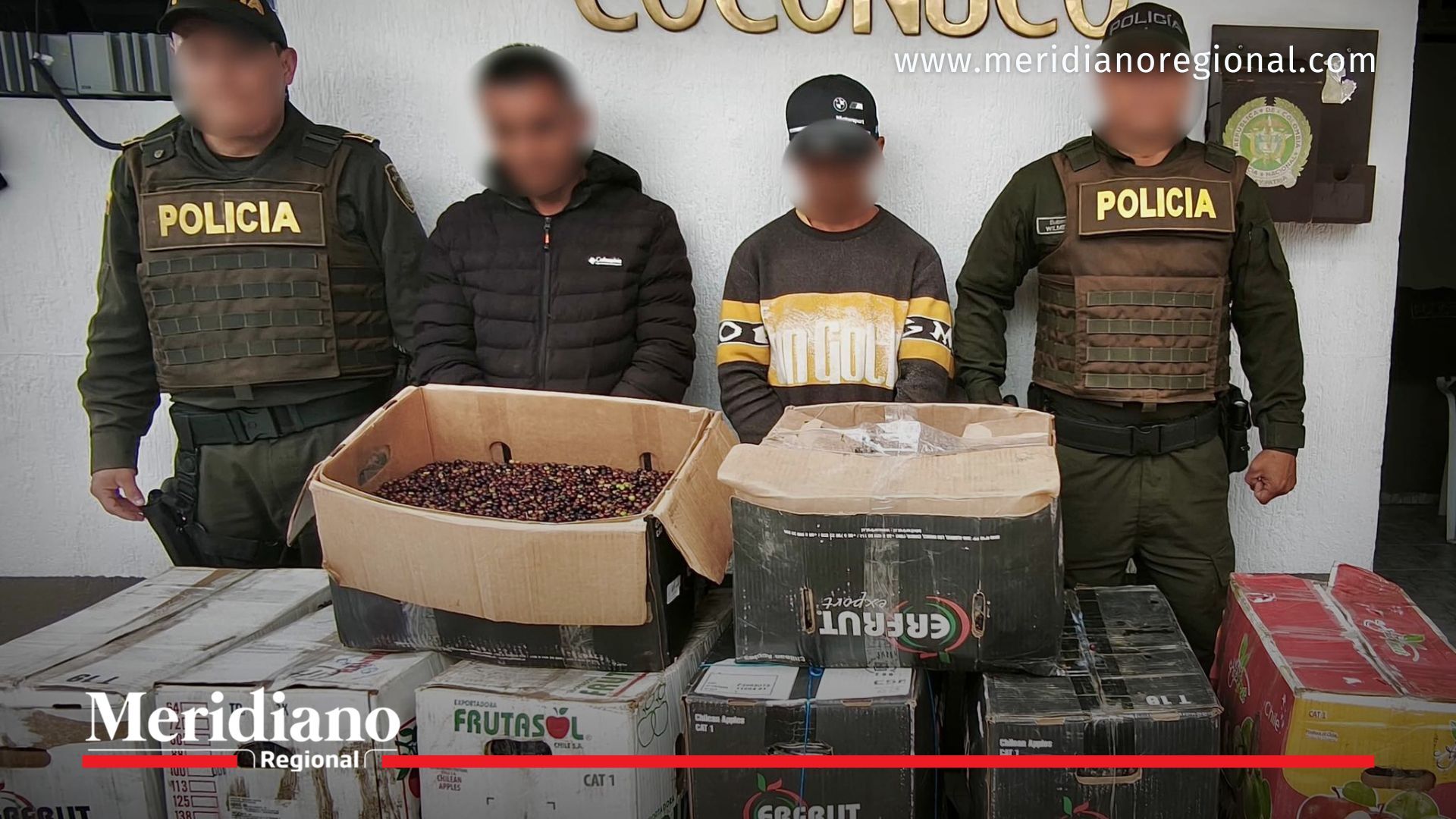 Dos hombres fueron capturados en Coconuco tras ser sorprendidos transportando 570 kilos de fruto silvestre protegido, según informó la Policía Nacional Cauca.