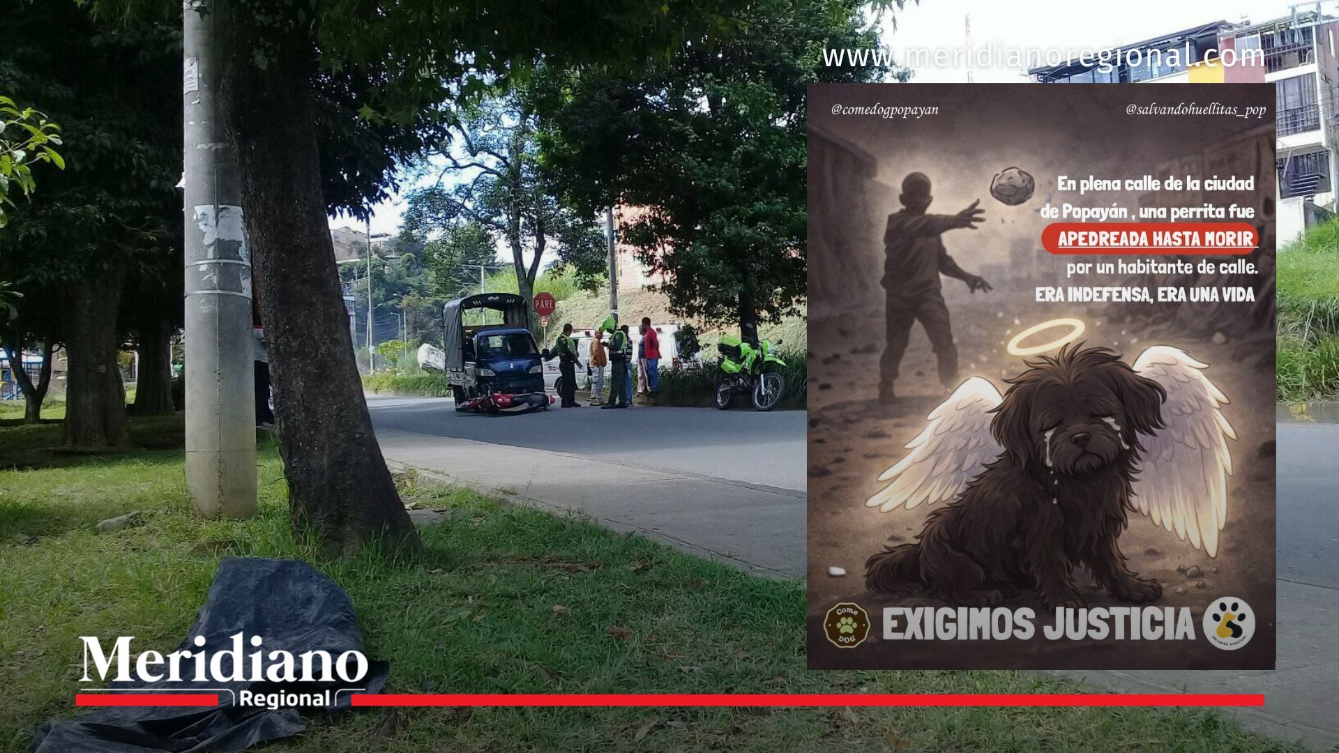 Sector La Piedra Sur en Popayán donde ocurrió caso de maltrato animal Popayán y pieza gráfica de denuncia ciudadana