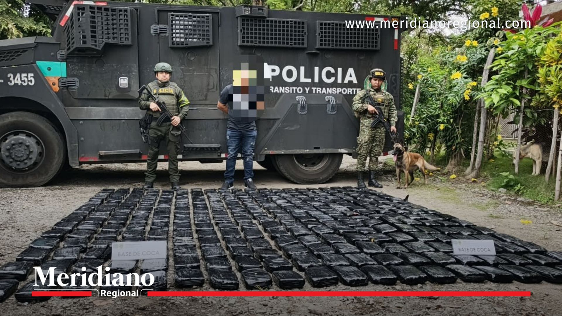 Incautación de droga en el Cauca – droga incautada en Cauca presentada por autoridades en operativo contra el narcotráfico