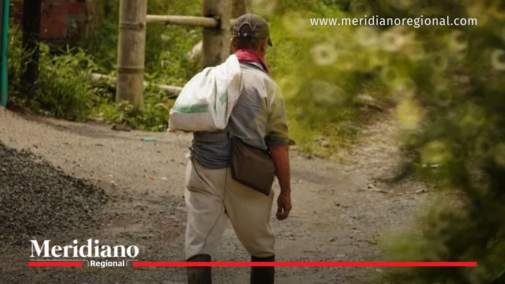 Campesino caminando por vía rural en Colombia en contexto de la Política Pública de Culturas Campesinas