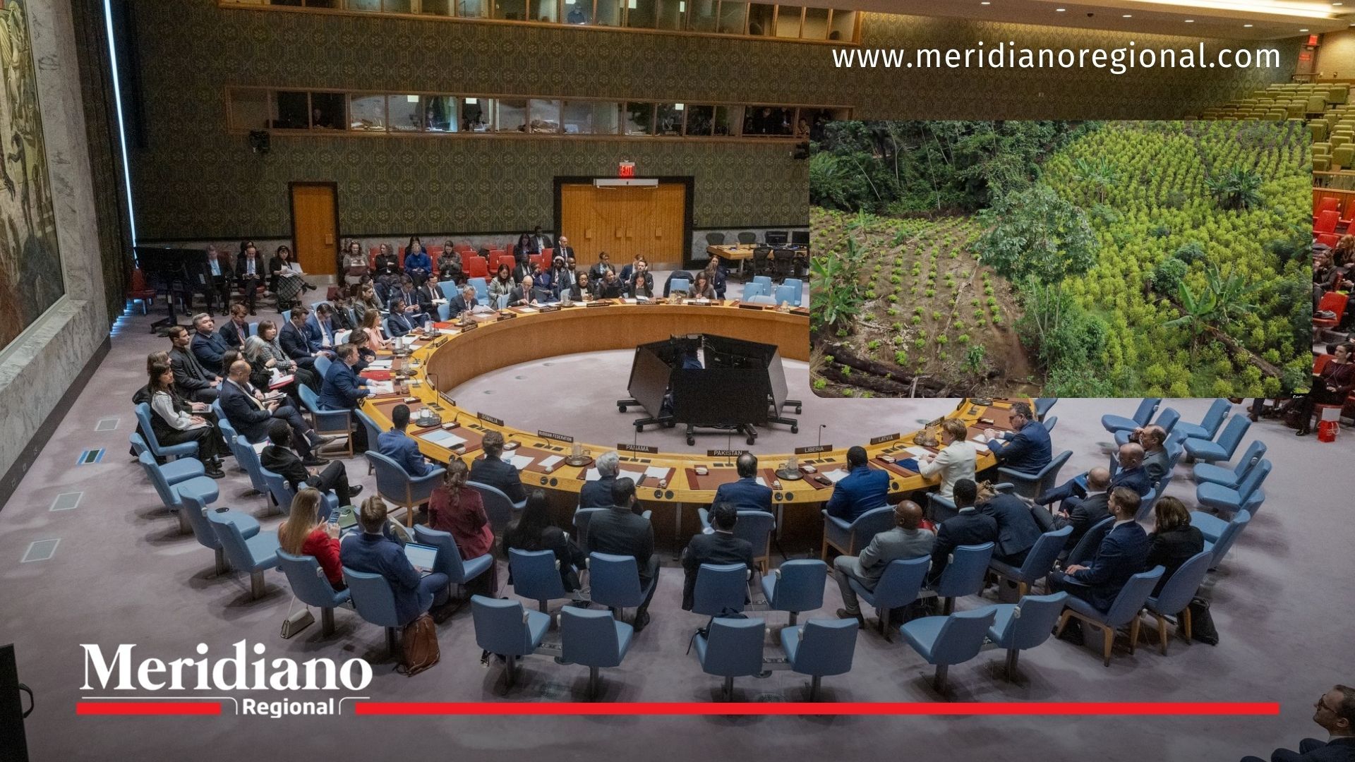 Sesión plenaria de la ONU con imagen de cultivo de coca en Colombia, en el contexto del informe 2023 que confirma que Colombia lidera producción de cocaína y que el mercado mundial creció 34 %.