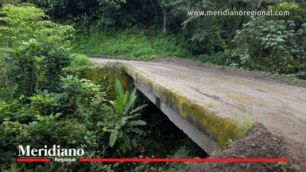 Explosión en Cauca en zona rural de La Vega donde un líder comunitario resultó herido tras activar un presunto artefacto explosivo