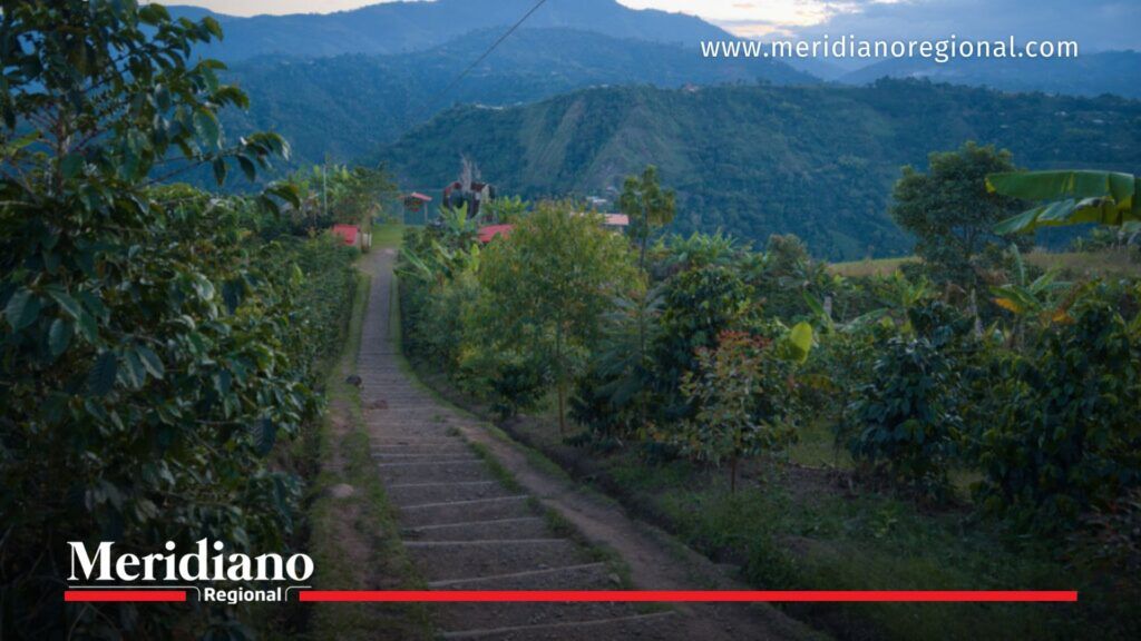 masacre en pitalito vereda el mirador huila violencia en colombia 2026 zona rural donde ocurrió el crimen