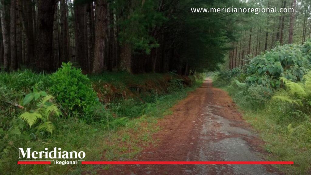 secuestro en popayán vía vereda san bernardino zona rural seguridad popayán