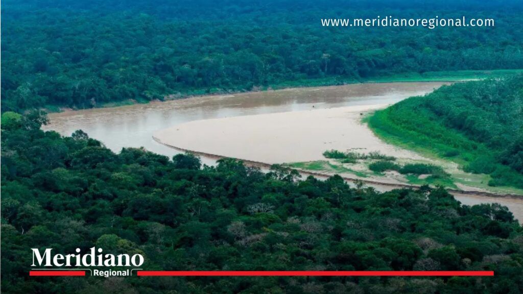 Iván Mordisco bombardeo en selva del Guaviare - Meridiano Regional ivan-mordisco - bombardeo-ejercito-colombia - selva-guaviare - disidencias-farc - operativo-militar-amazonas