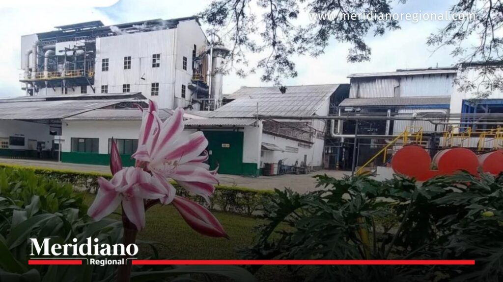 Ingenio María Luisa en Florida Valle antes de su cierre - Meridiano Regional ingenio-maria-luisa instalaciones-ingenio-maria-luisa florida-valle-del-cauca cierre-ingenio-maria-luisa sector-azucarero