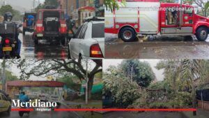 vendaval en cali con árboles caídos, lluvias intensas y daños eléctricos en varios sectores de la ciudad
