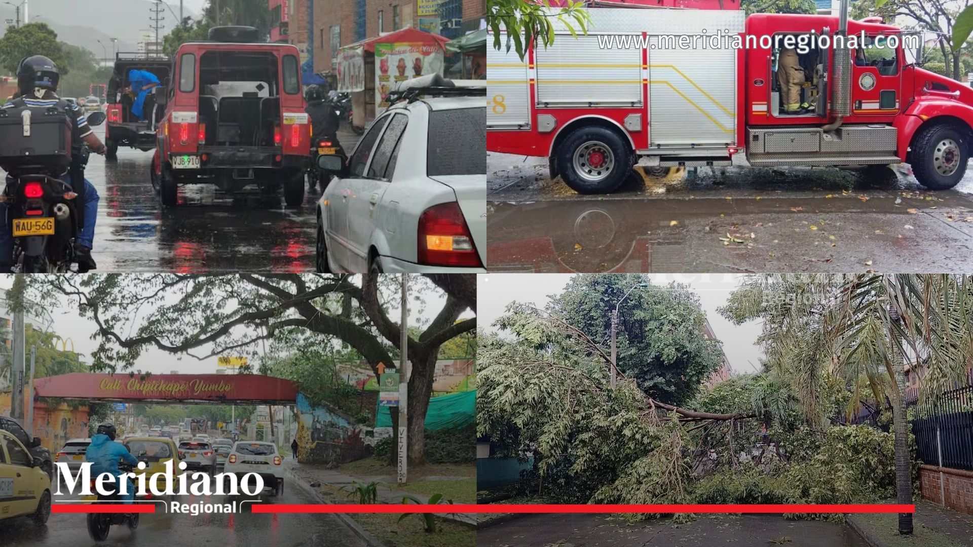vendaval en cali con árboles caídos, lluvias intensas y daños eléctricos en varios sectores de la ciudad