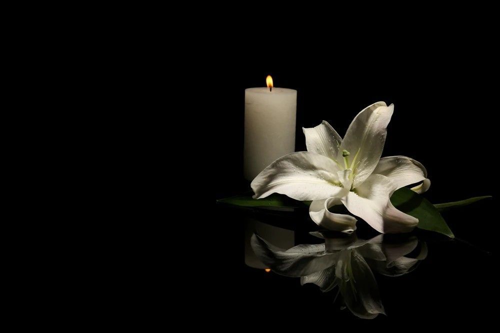 El Acto de solidaridad en Cauca, nos permite mostrar la Imagen simbólica de una vela blanca encendida junto a una flor blanca sobre fondo negro, representación de memoria, paz y solidaridad en homenaje a las víctimas del atentado en la vía Panamericana.