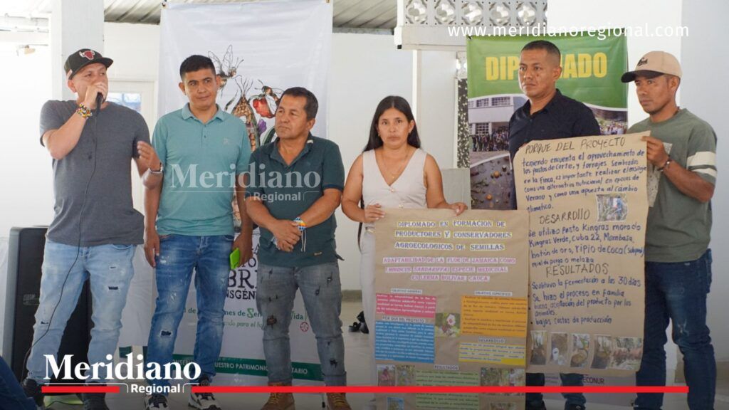 Participantes del diplomado de guardianes de semillas presentan experiencias agroecológicas y resultados de conservación durante jornada de socialización en el Cauca.