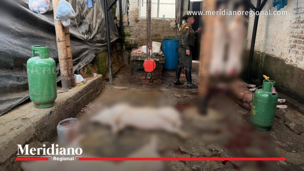 Matadero clandestino en Popayán intervenido en la comuna 5 - Meridiano Regional matadero clandestino en Popayán comuna 5 carne ilegal operativo Policía Nacional