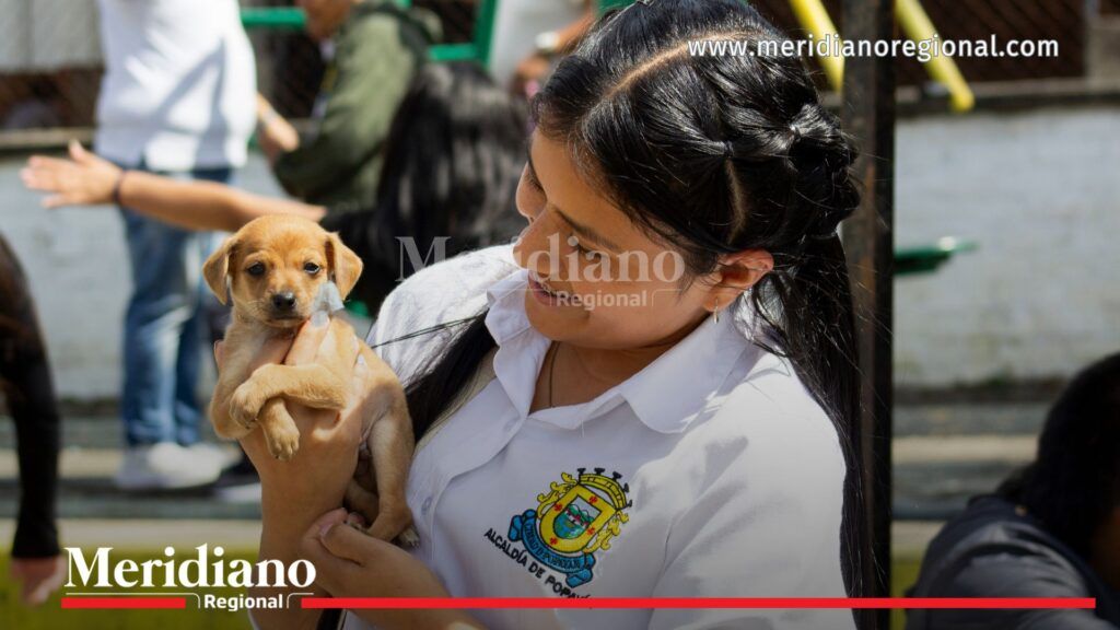 Feria de servicios en Popayán con vacunación de mascotas en Bello Horizonte durante jornada de atención comunitaria