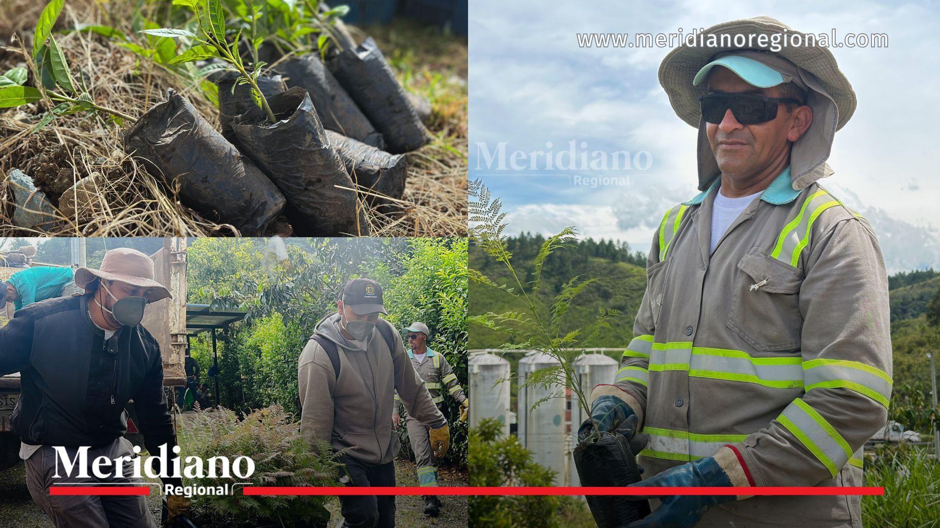Trabajadores y comunidad participaron en la siembra de árboles en La Yunga, una jornada liderada por la Secretaría DAFE y Urbaser para fortalecer la conservación ambiental en Popayán.