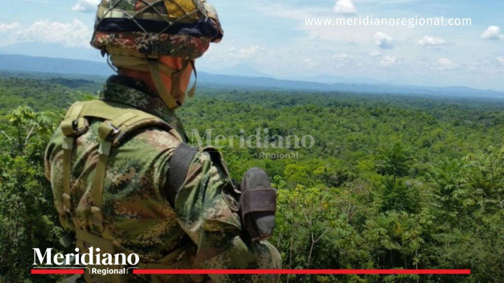 Sur del Cauca: Ejército frustró atentado en Argelia