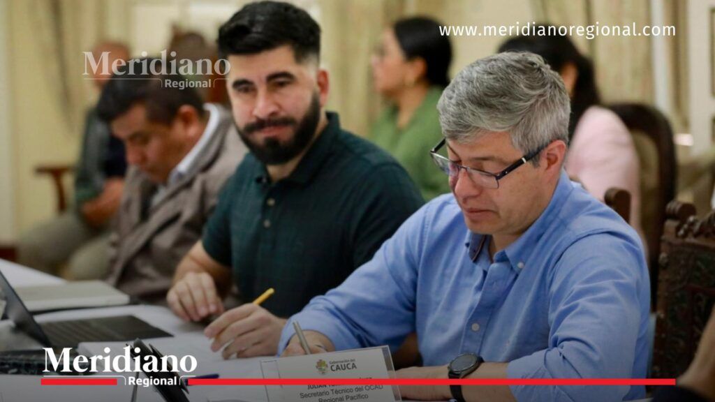Julián Torres Jiménez, secretario técnico del OCAD Regional Pacífico, participa en la sesión presencial No. 29 del Órgano Colegiado de Administración y Decisión junto a otros asistentes durante una reunión técnica sobre proyectos de inversión para Cauca y Nariño.