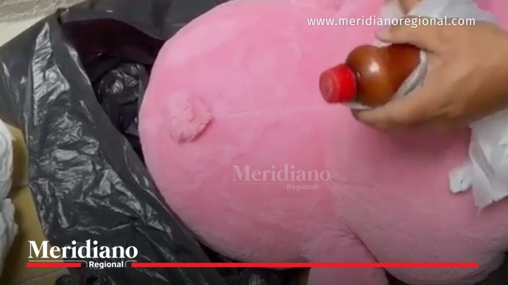 Peluche utilizado para esconder droga durante operativo de la Policía en la vía hacia Coconuco