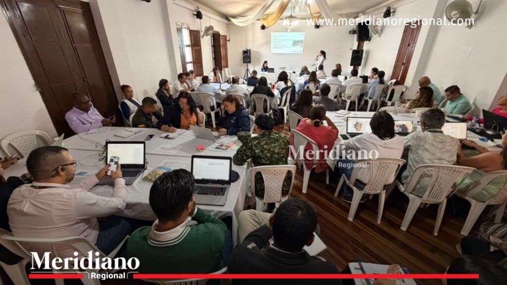 Sesión técnica sobre Argelia con asistentes institucionales reunidos en el Cauca para fortalecer acciones de prevención, protección y garantías de no repetición.