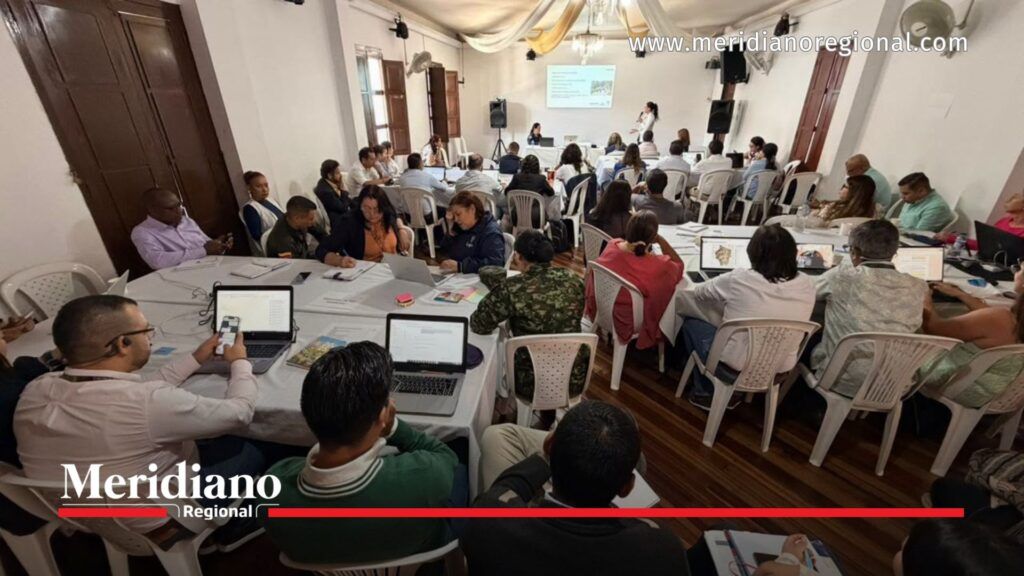 Vista general de la sesión técnica sobre protección de la población escolar y garantías de no repetición en Argelia, con participación de entidades nacionales y territoriales.