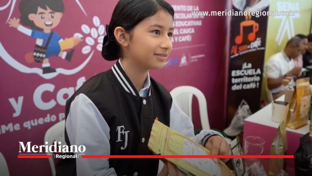Estudiante presenta un proyecto en una muestra educativa realizada en una institución del Cauca.