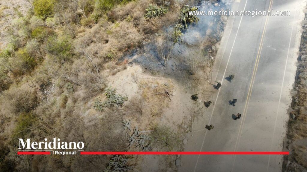 Operativo del Ejército en la vía Panamericana tras la ubicación de un área minada entre Cauca y Nariño. - Meridiano Regional Militares inspeccionan un área minada junto a la vía Panamericana entre Cauca y Nariño, donde fueron desactivados explosivos y restablecido el paso vehicular.