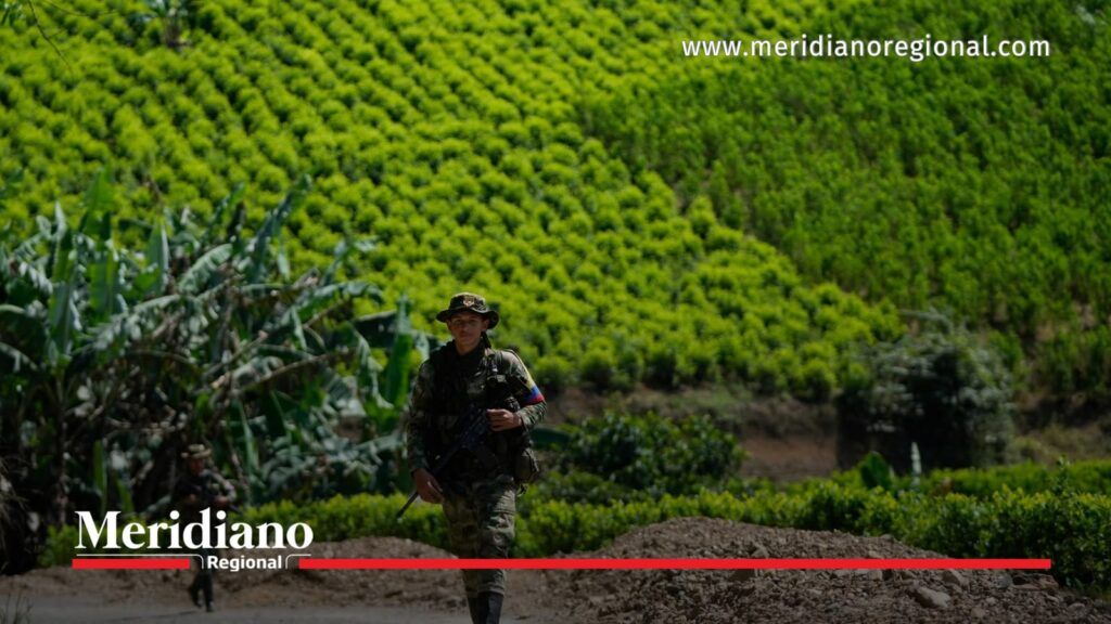 Integrante del Ejército en zona rural de Cauca durante labores de seguridad y control territorial.
