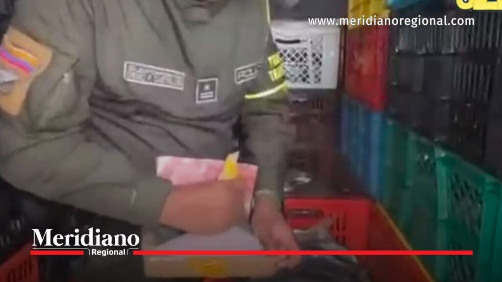 Policía inspecciona paquete de cocaína hallado entre canastillas con pescado en la vía Neiva – Castilla.