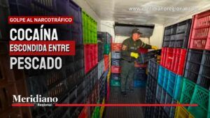 Cocaína escondida entre pescado incautada por la Policía en la vía Neiva–Castilla.