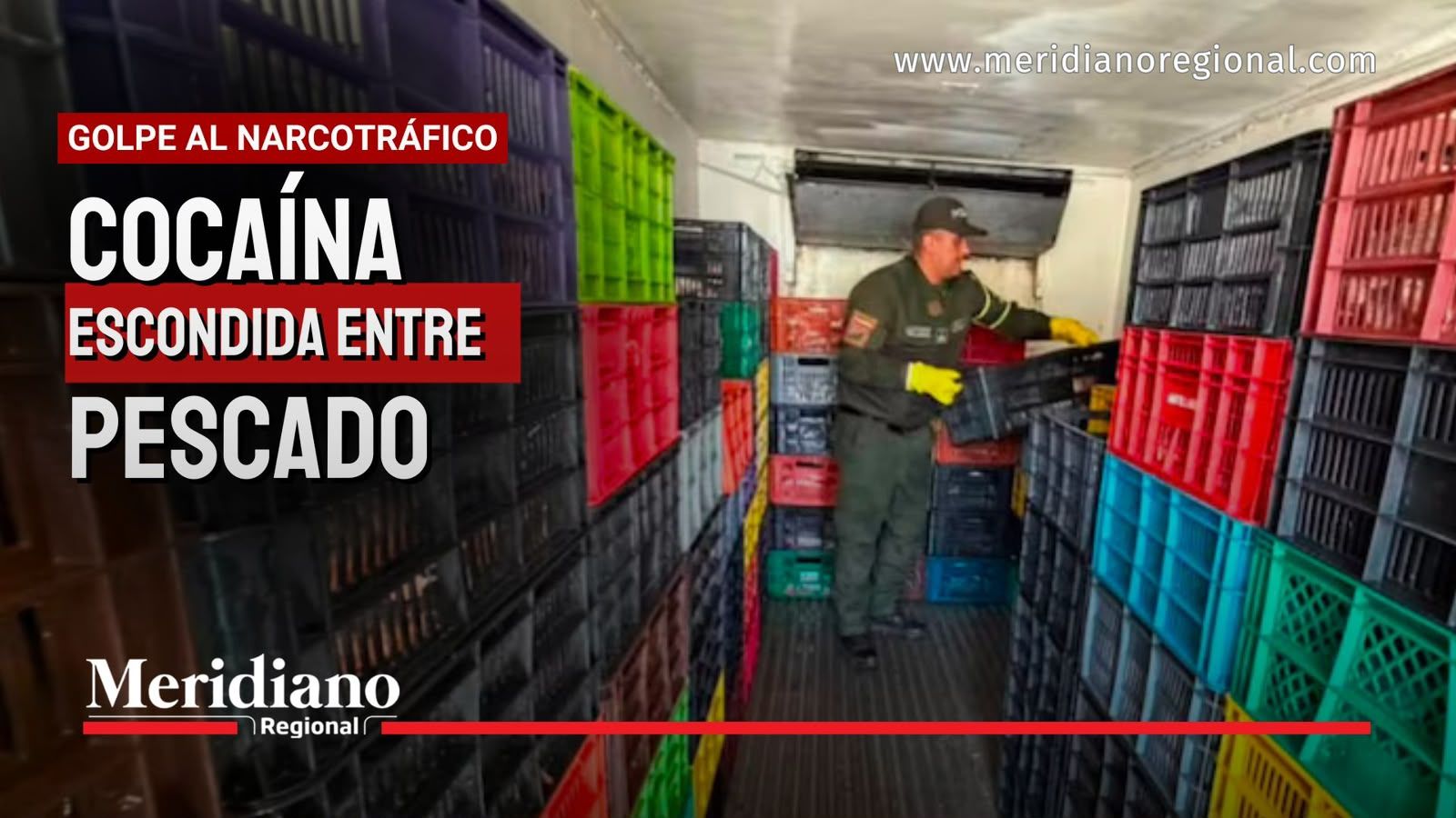 Cocaína escondida entre pescado incautada por la Policía en la vía Neiva–Castilla.
